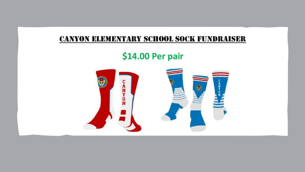 Sock Fundraiser