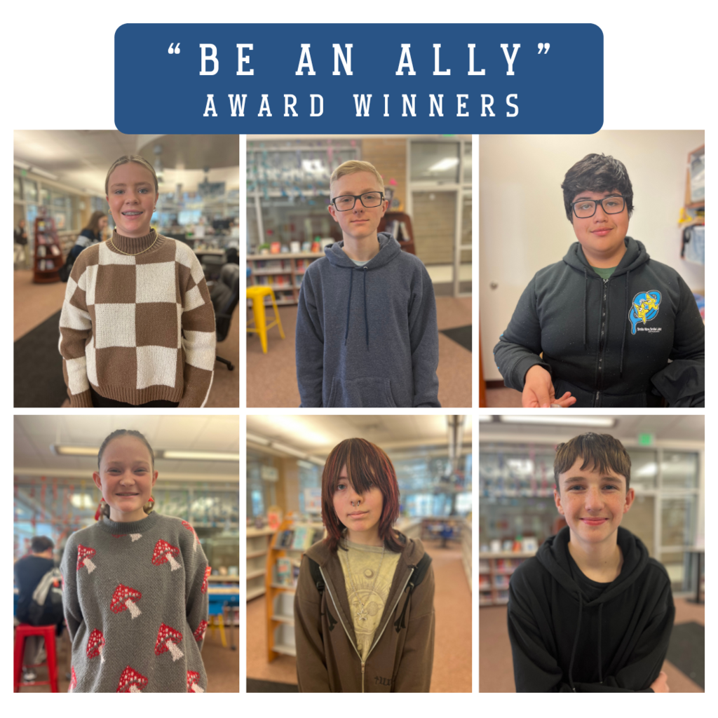 Be an Ally Winners