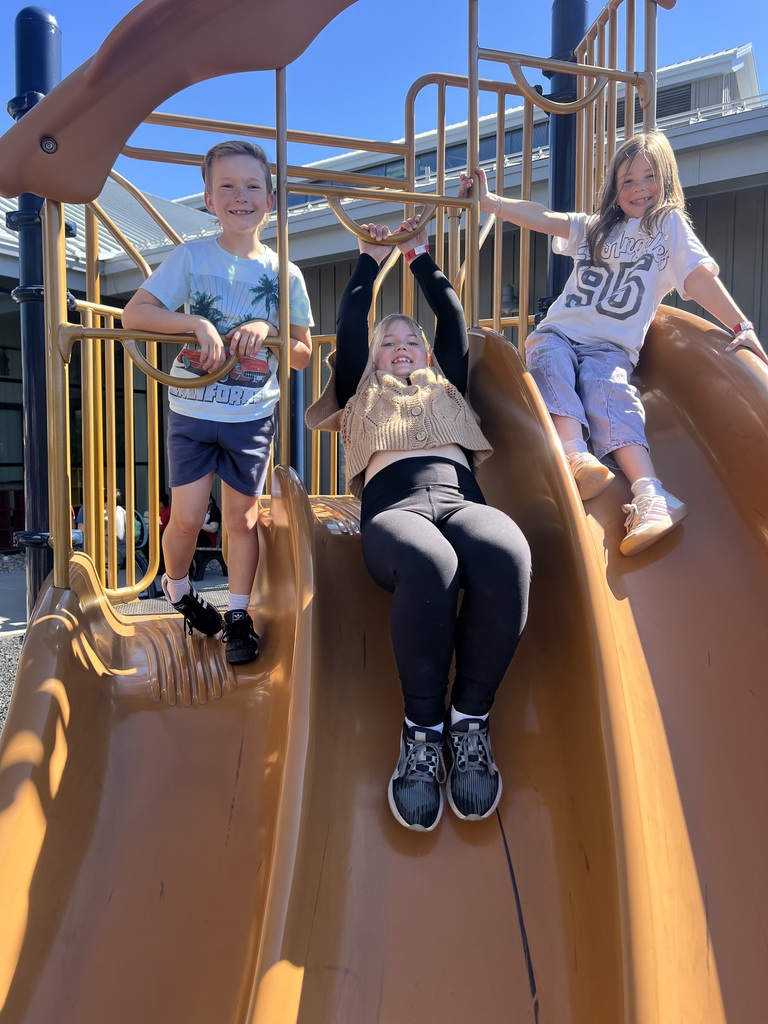 students playing on the playground