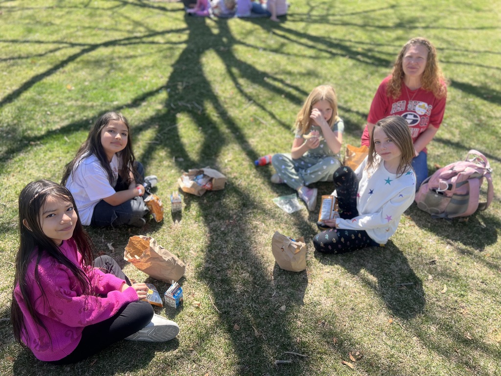 students outside on the grass eating lunch