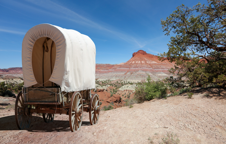 Pioneer Day