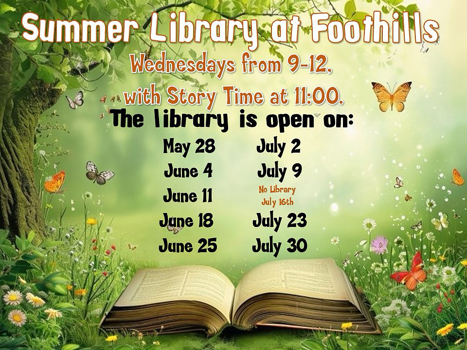 Summer Library