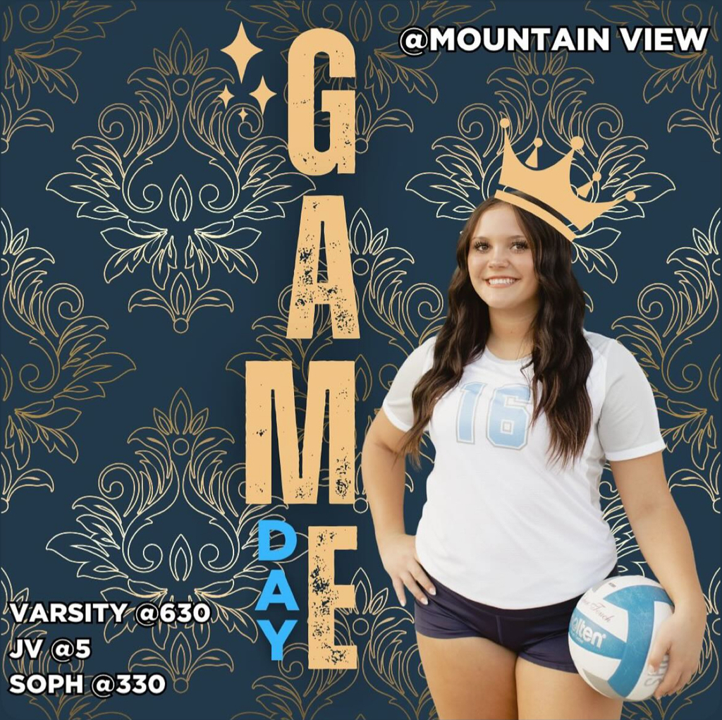 Volleyball Game Day