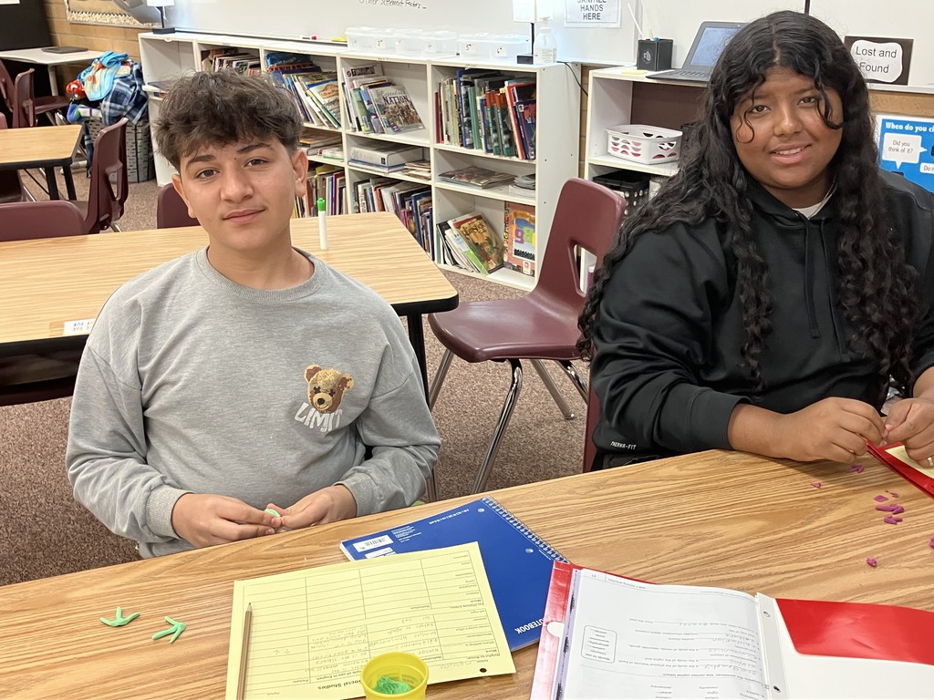 Students in class