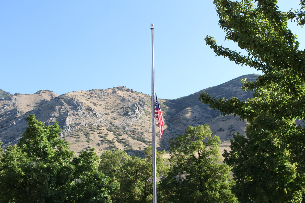 The flag at half mast