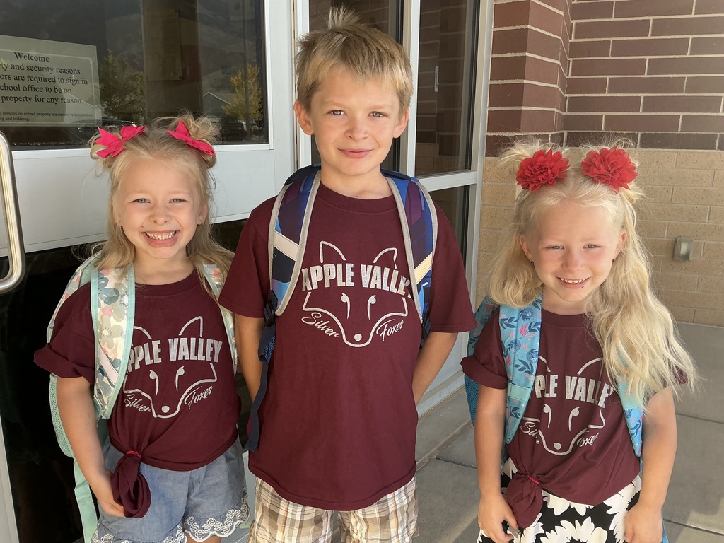 Spirit day Friday