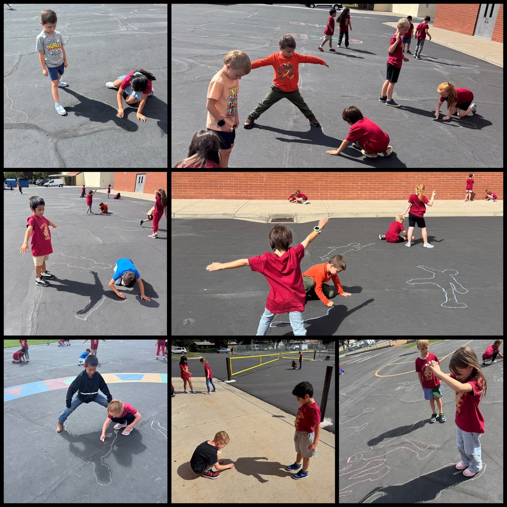 Tracing Shadows