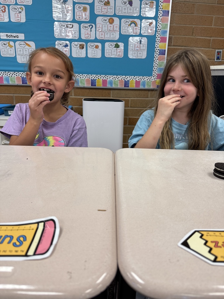 2nd Grade Literacy