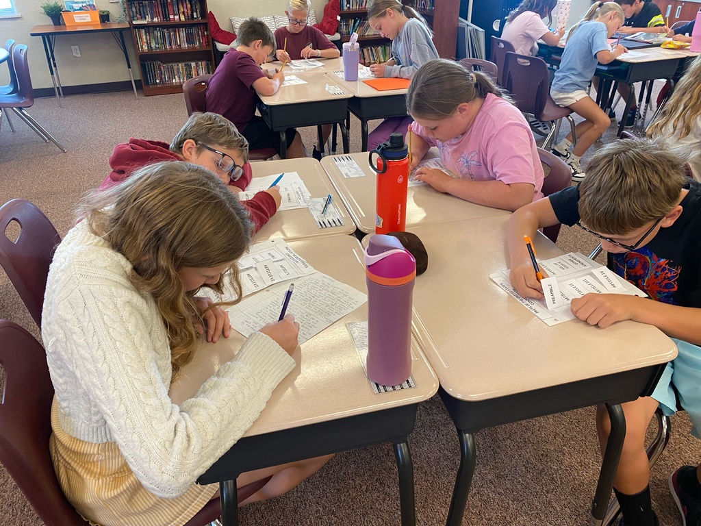 Students learning about the constitution.