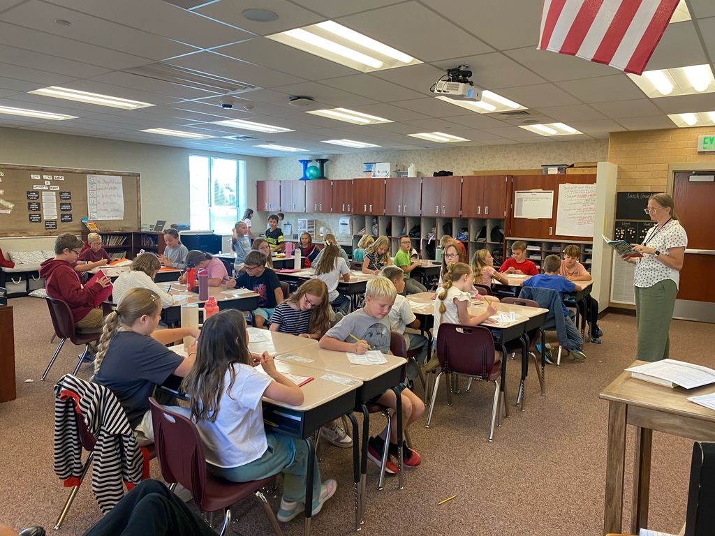 Students learning about the constitution.