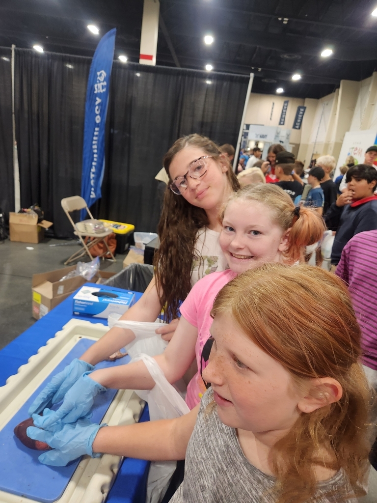 STEM Fest