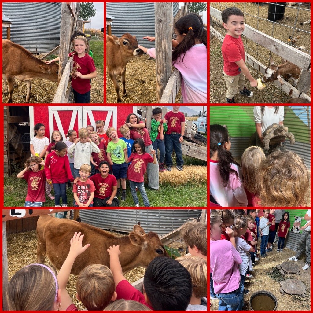 Learning About Farm Life