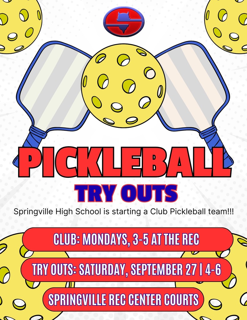 Club Pickleball team