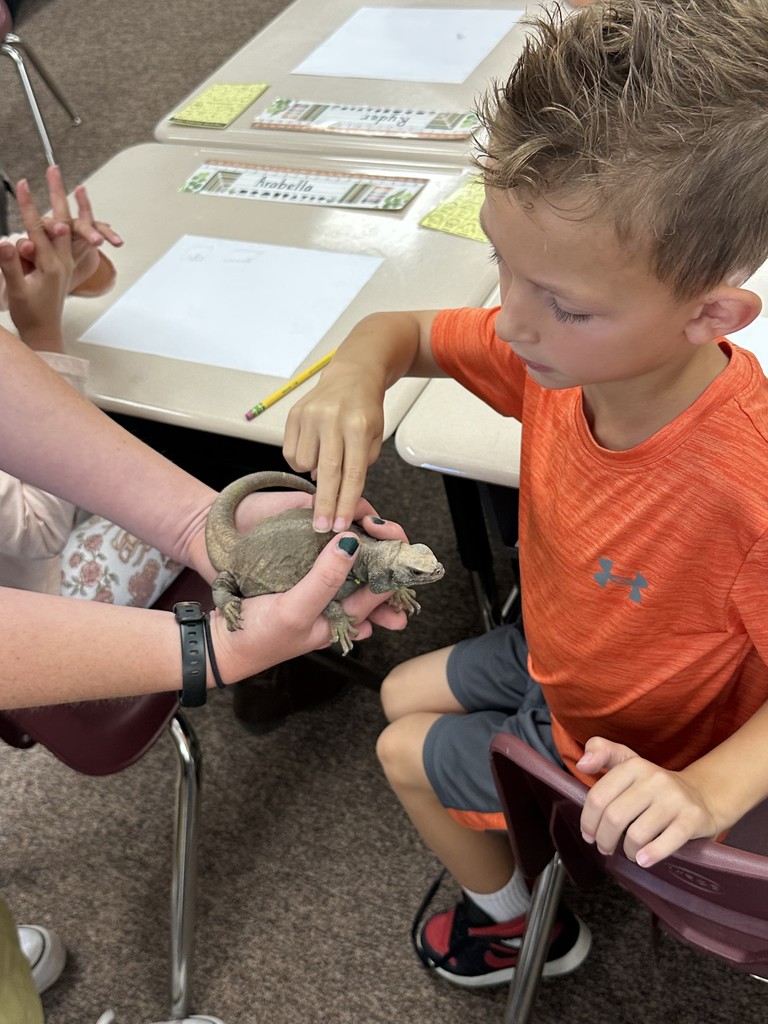 Students exploring with Hogle Zoo