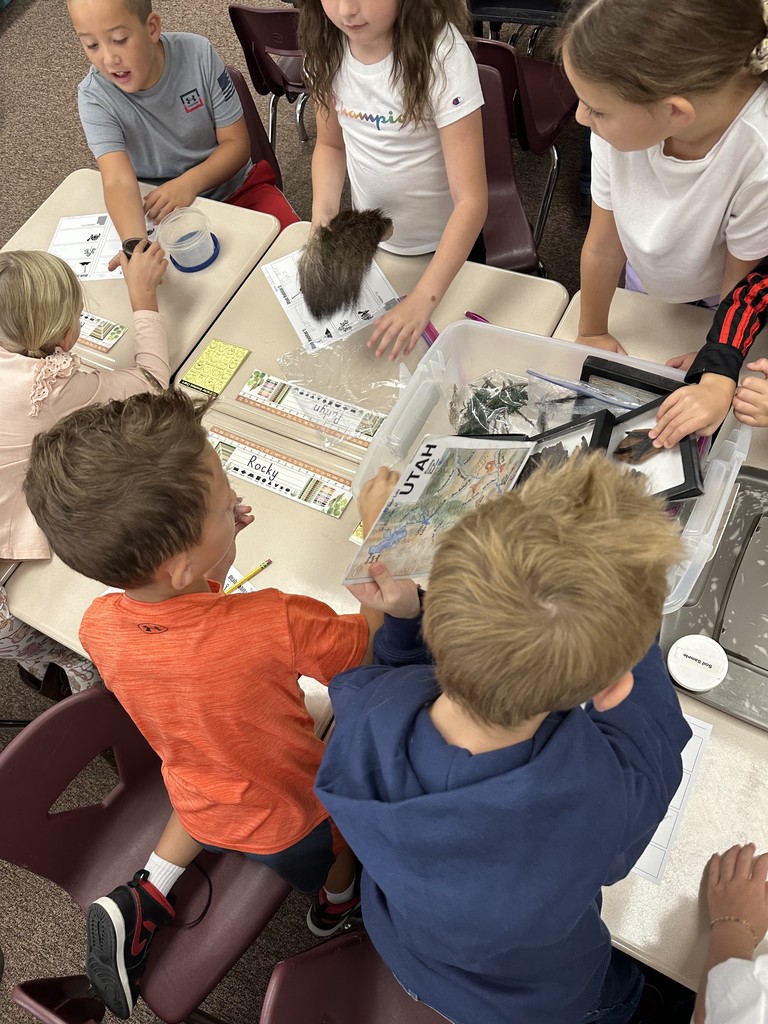 Students exploring with Hogle Zoo