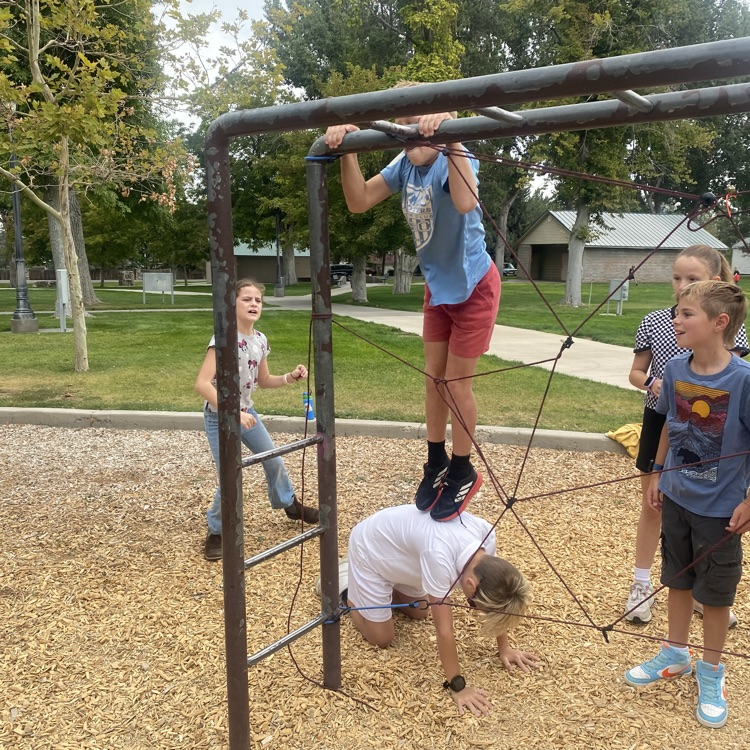 students climbing through a web