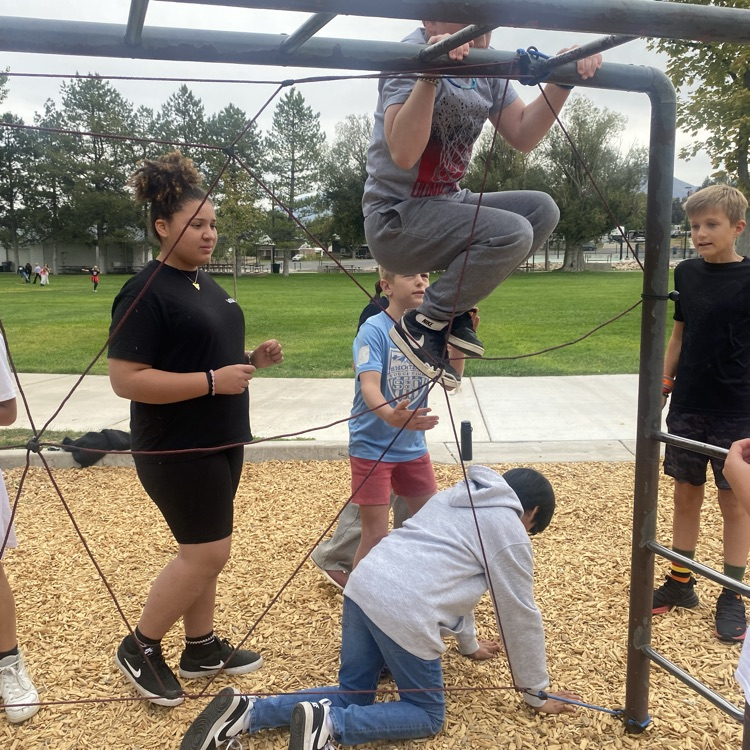 students climbing through a web