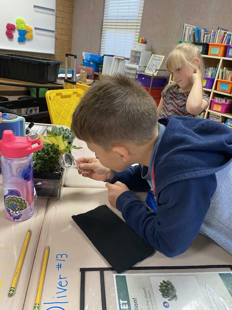 Students using magnifying glasses