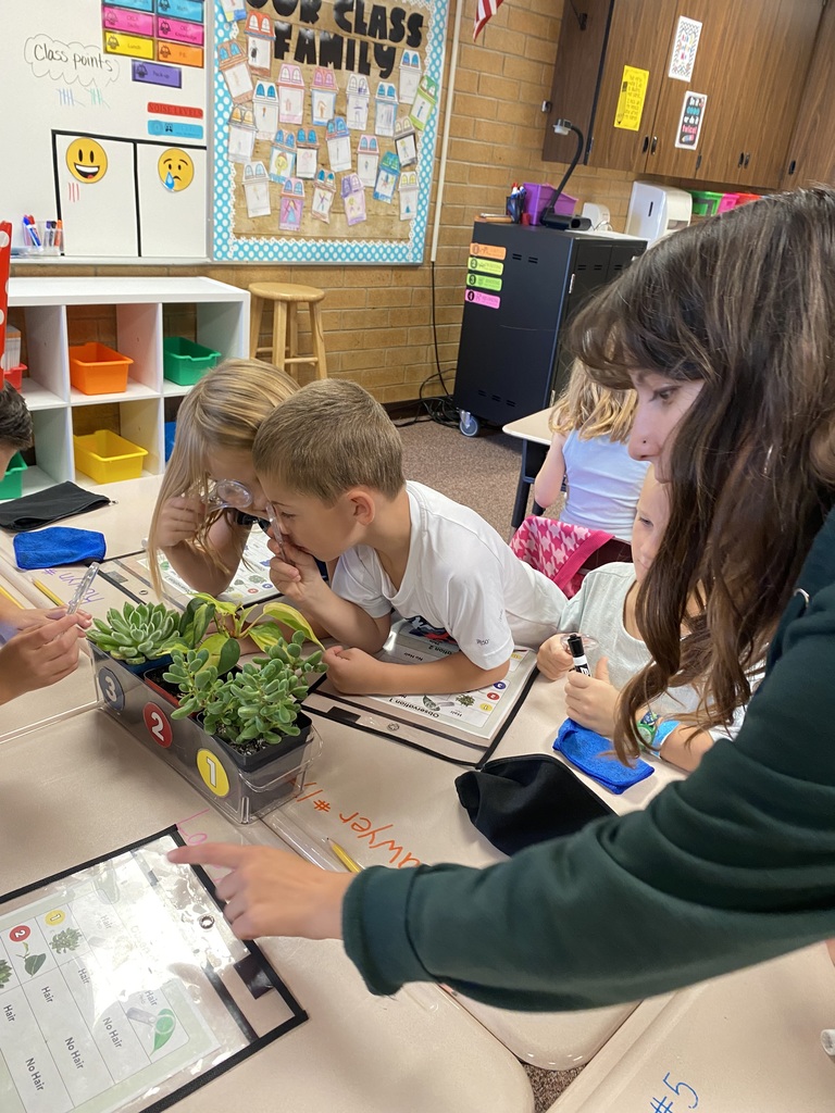 Students using magnifying glasses