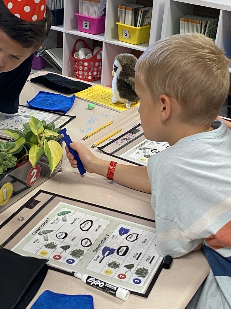 Students using magnifying glasses