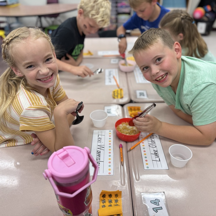 3rd grade activity