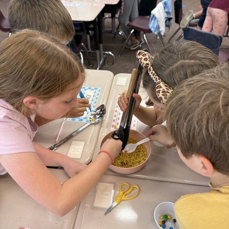3rd grade bird activity 
