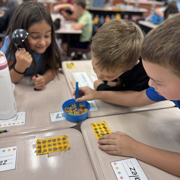 3rd grade bird activity 