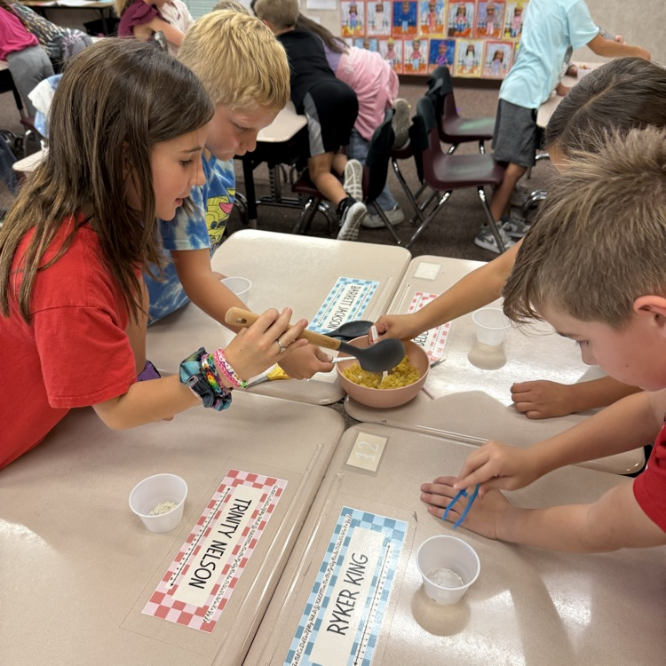 3rd grade bird activity 