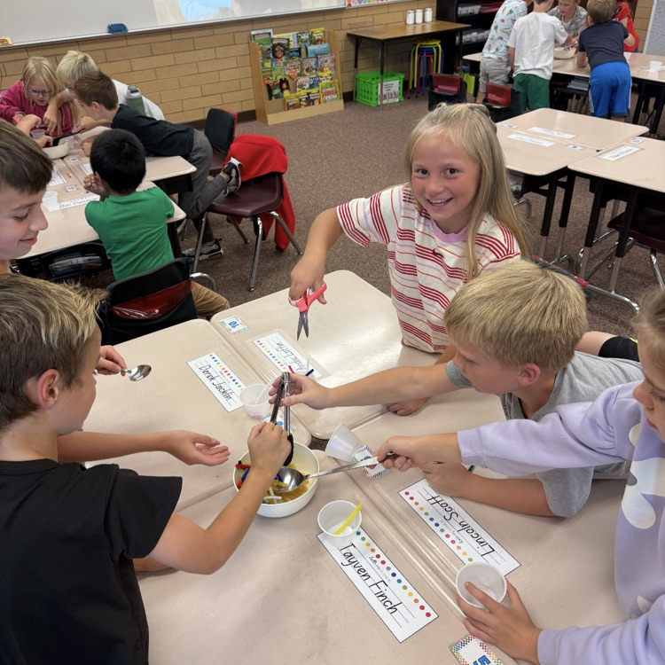 3rd grade bird activity 