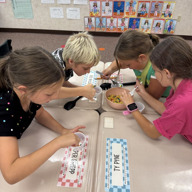 3rd grade bird activity 
