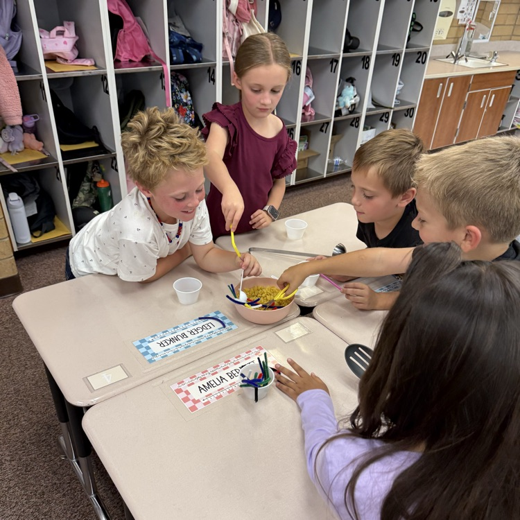 3rd grade bird activity 