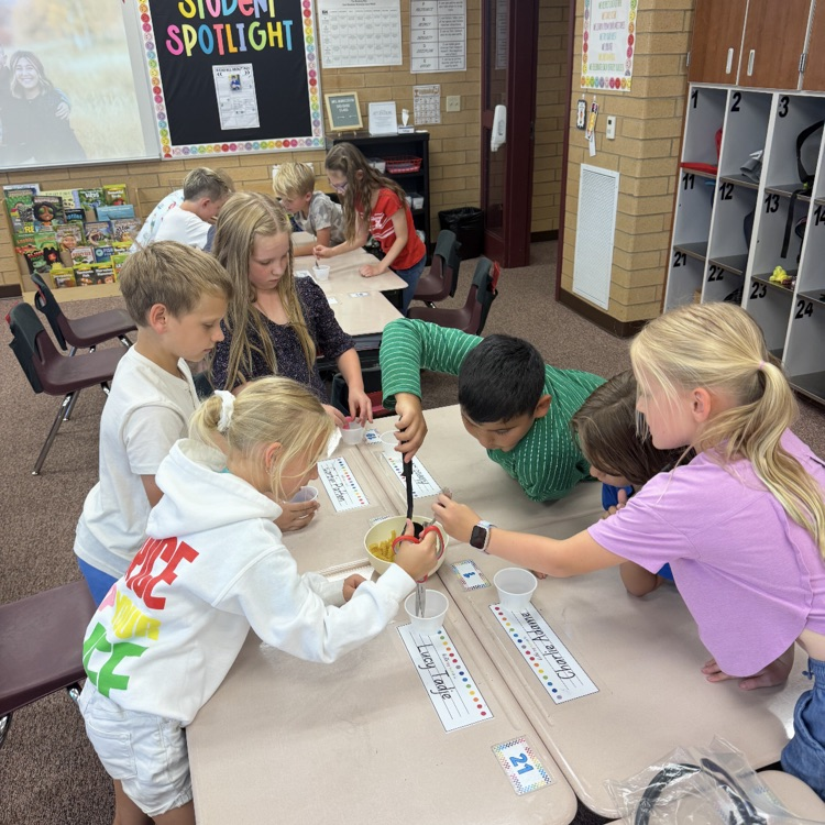 3rd grade bird activity 
