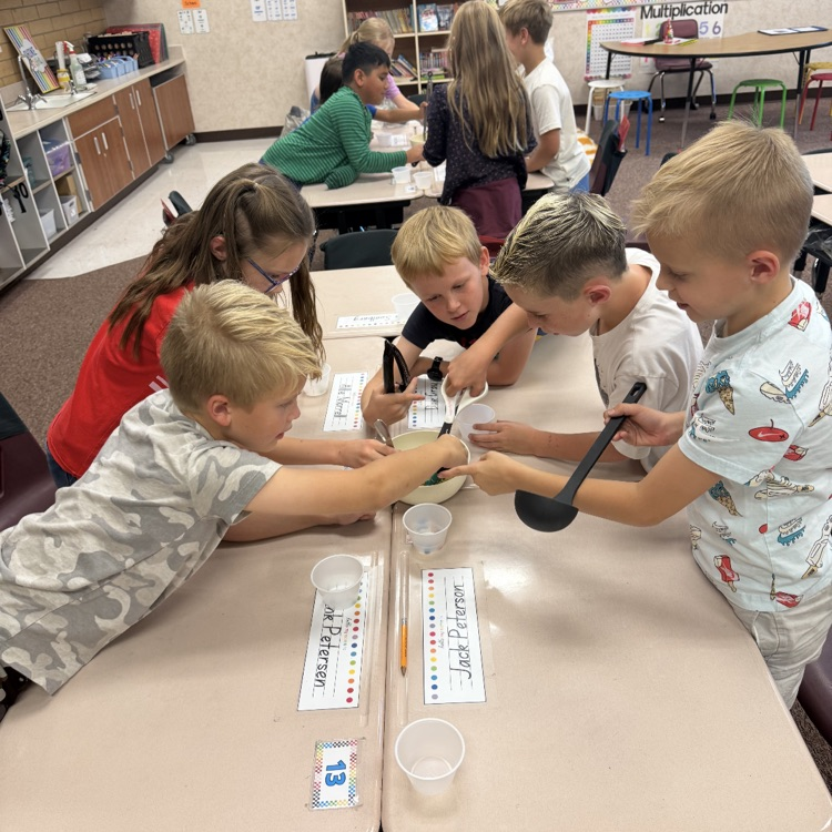 3rd grade bird activity 
