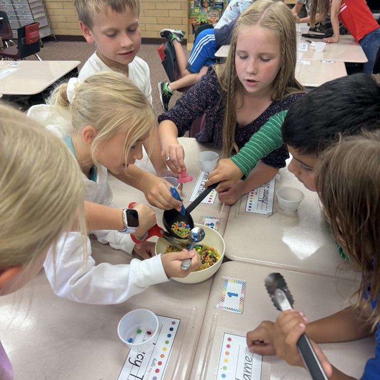 3rd grade bird activity 