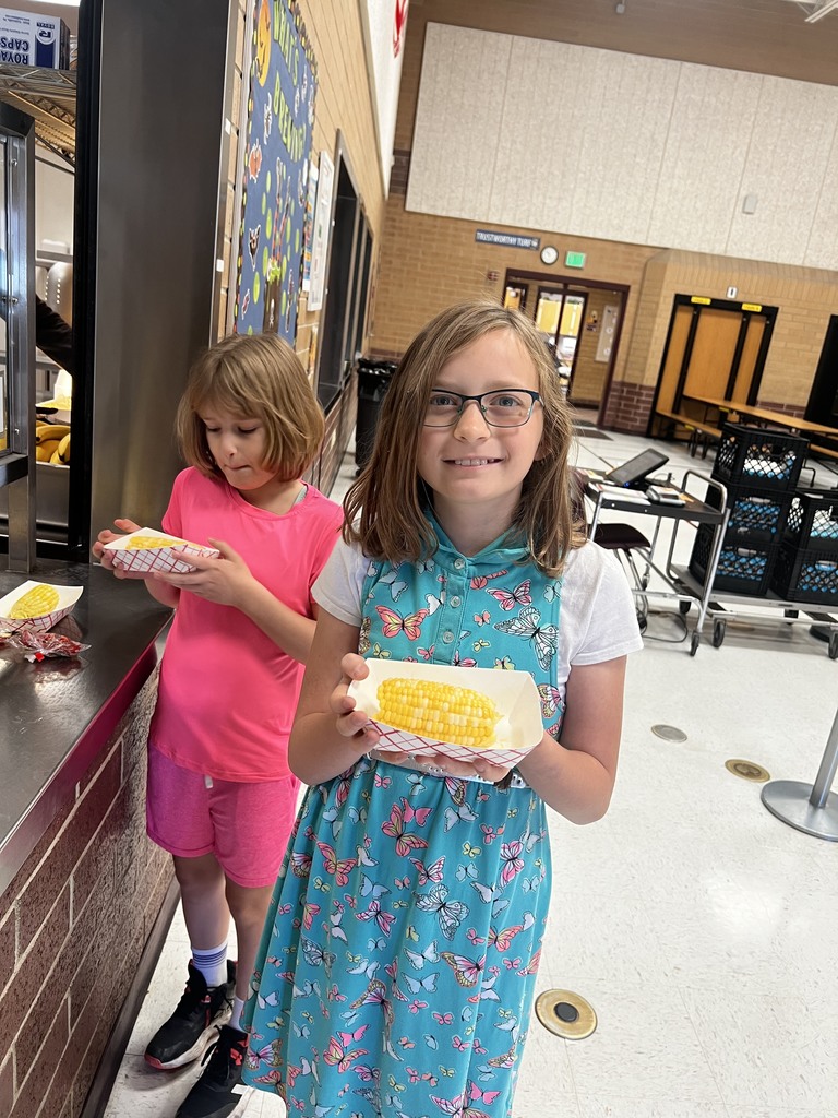 Fresh corn on the cob for lunch