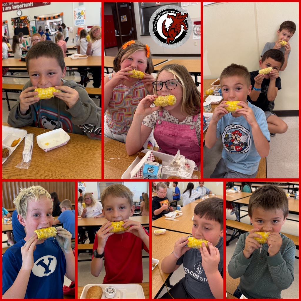 Cherry Creek Crocs love fresh corn!  