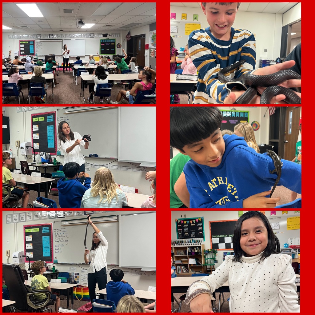 A Herpetologist Visits 3rd Grade