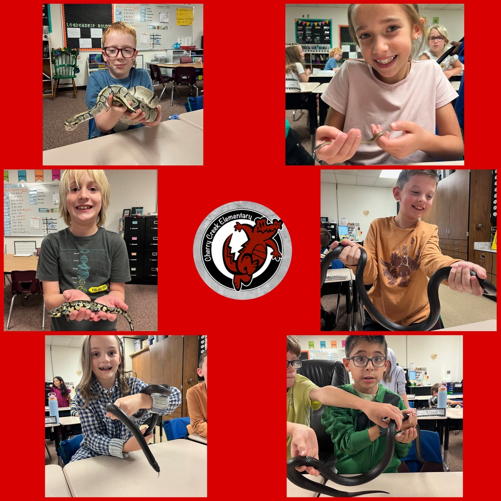 3rd Grade Crocs are Wild About Learning