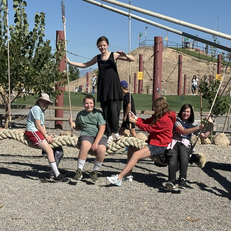 swings
