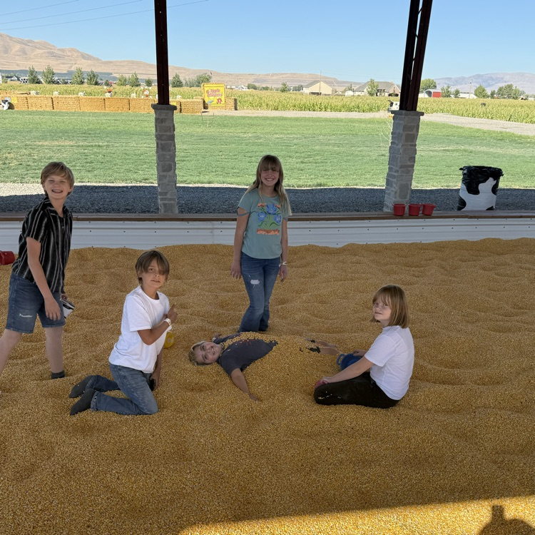 corn pit