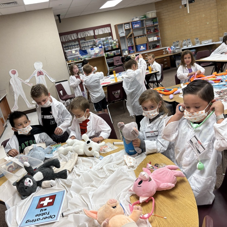 a group of students performing operations on stuffed animals