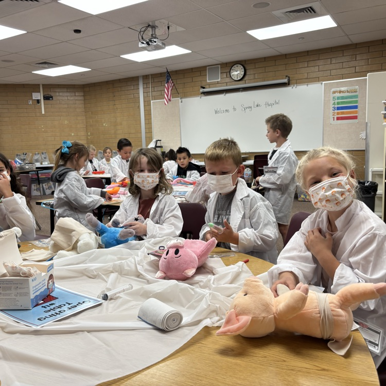 a group of students performing surgery on stuffed animals