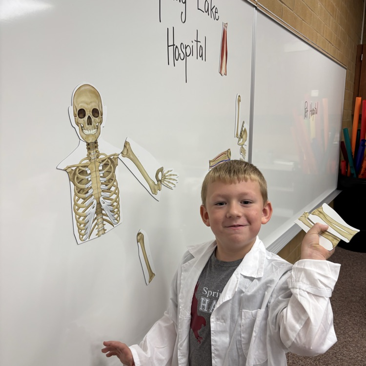 a student assembling a magnet skeleton in front of a whiteboard