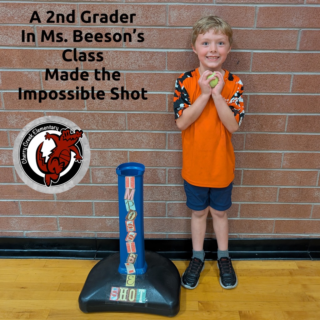 Another 2nd Grader Makes the Impossible Shot