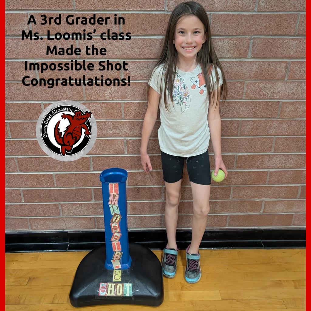 A 3rd Grader Makes the Impossible Shot