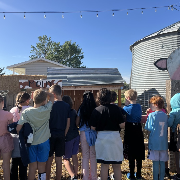 students learning about  animals. 