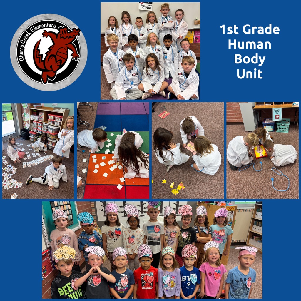 1st Grade Human Body Unit