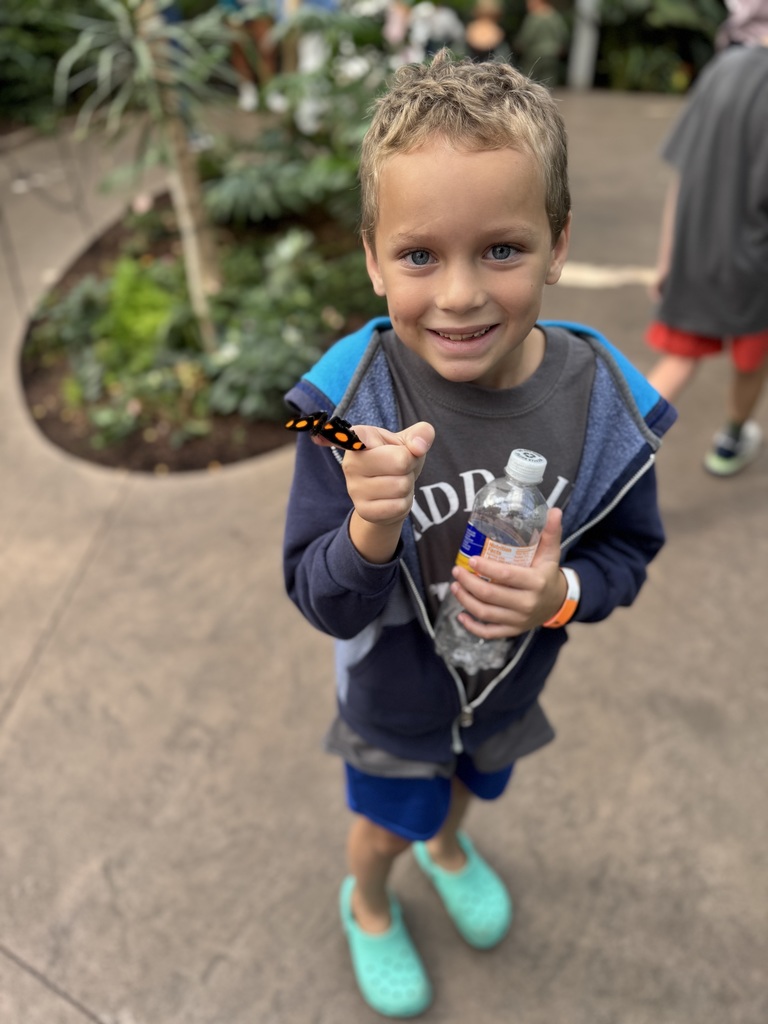 Butterfly Biosphere 