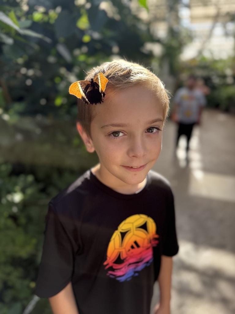 Butterfly Biosphere 