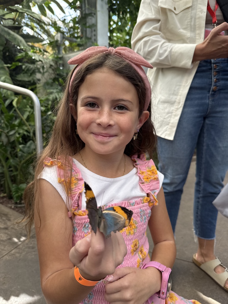 Butterfly Biosphere 